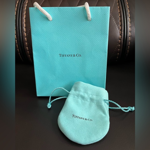 Tiffany & Co. Gift Bag and Pouch - Small - Picture 1 of 5